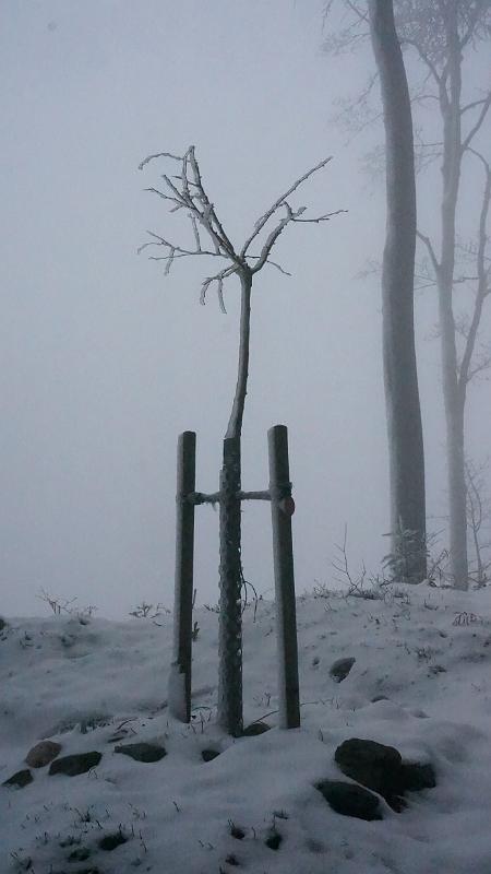 2013 11 17 B
